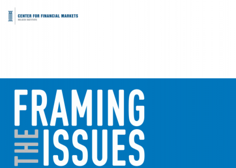 Framing the Issues: Strengthening Capital Markets in Developing Countries