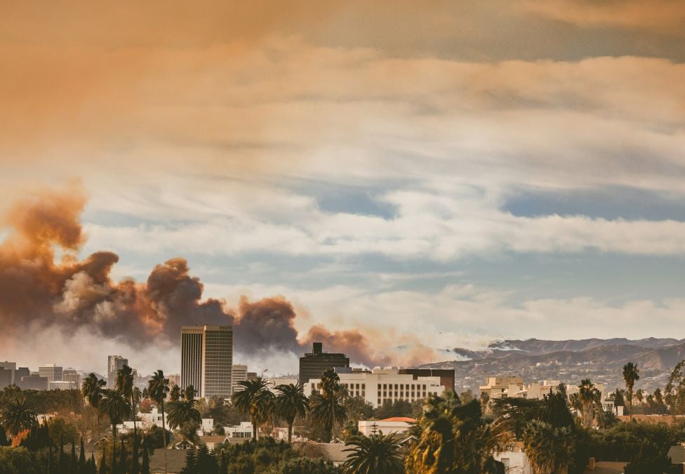 Smoke billows over Los Angeles as wildfires burn in the nearby hills, with dense orange and gray plumes rising behind the city skyline and palm trees in the foreground.