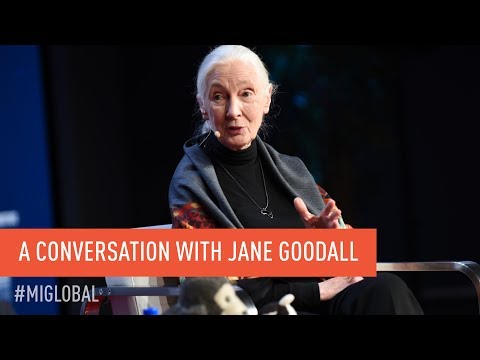 A Conversation With Jane Goodall