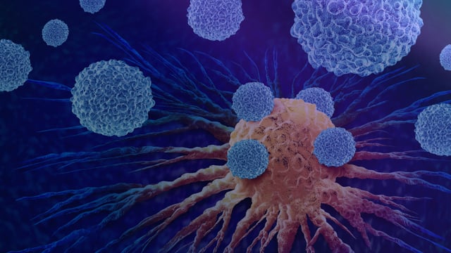 The Next Wave of Immunotherapy and Cancer Treatments