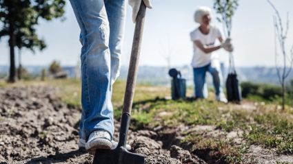 gardening