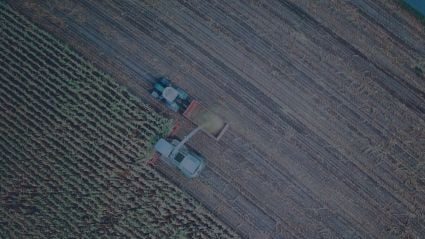 tractors in a field