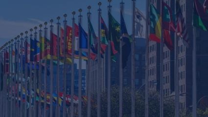 Flags at the UN