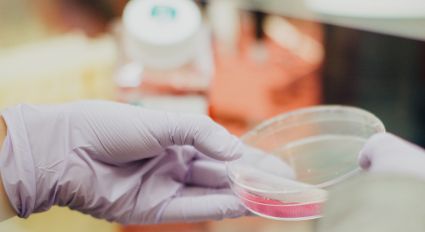 A scientist's gloved hand holds a Petri dish