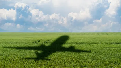 shadow of an airplane over a field