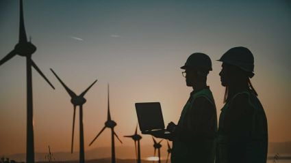 two workers wearing hard hats looking and windmills 