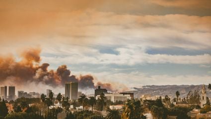 Smoke billows over Los Angeles as wildfires burn in the nearby hills, with dense orange and gray plumes rising behind the city skyline and palm trees in the foreground.