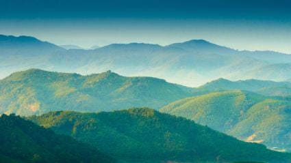 Rolling green mountains covered in trees with a soft blue sky and distant mist.