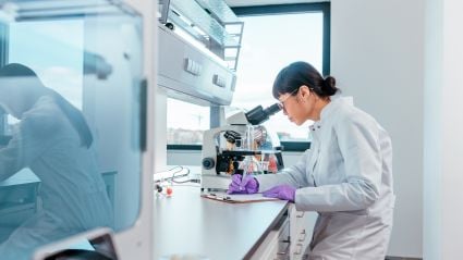 A scientist in the lab