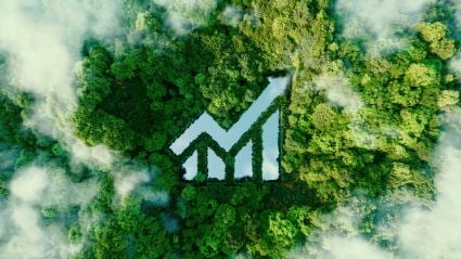 Aerial view of a lush green forest with a rising arrow and bar chart shape carved through the trees, symbolizing sustainable growth.