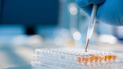 A gloved hand uses a pipette to dispense a liquid droplet into a clear 96-well microplate containing orange-colored samples in a laboratory setting..