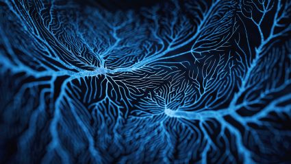 Blue glowing neural network connections branching across dark background