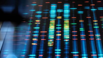 DNA sequencing data displayed as colorful horizontal bands on a digital screen