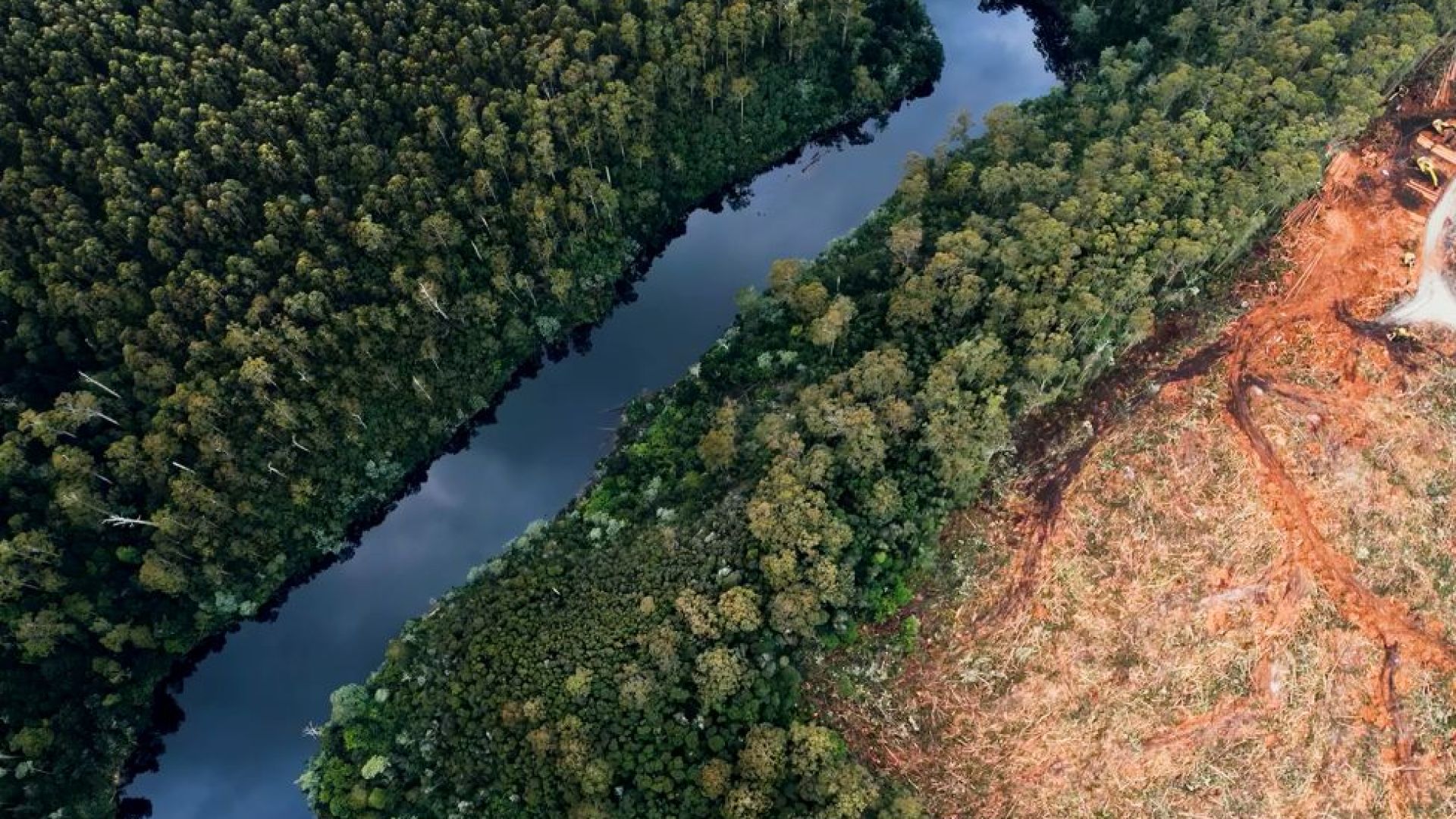 Deforested land beside a river, illustrating the environmental cost of unsustainable development. Strategic capital deployment can help reverse these trends by funding nature-based solutions and promoting resilient land use practices.