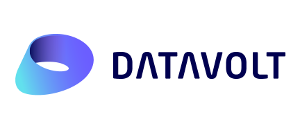 DataVolt Logo