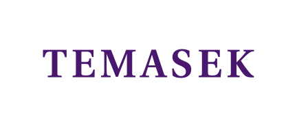 Temaesk Logo
