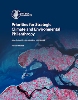 Priorities for Strategic Climate and Environmental Philanthropy