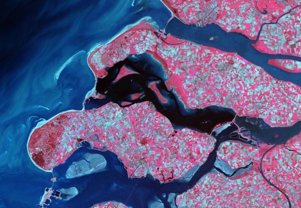 False-color satellite image showing a coastal agricultural landscape, with bright pink and magenta farmland grids divided by dark blue rivers, lagoons, and ocean water.