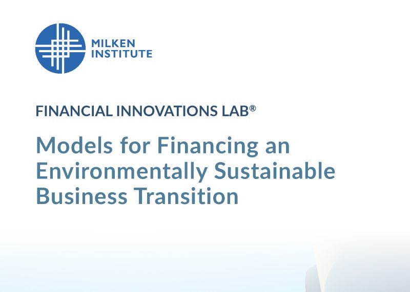 Models for Financing an Environmentally Sustainable Business Transition
