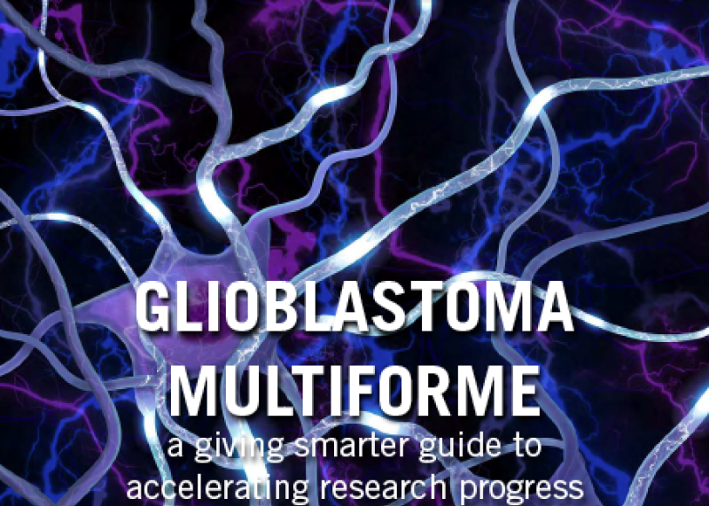 Glioblastoma Multiforme: A Giving Smarter Guide to Accelerating Research Progress