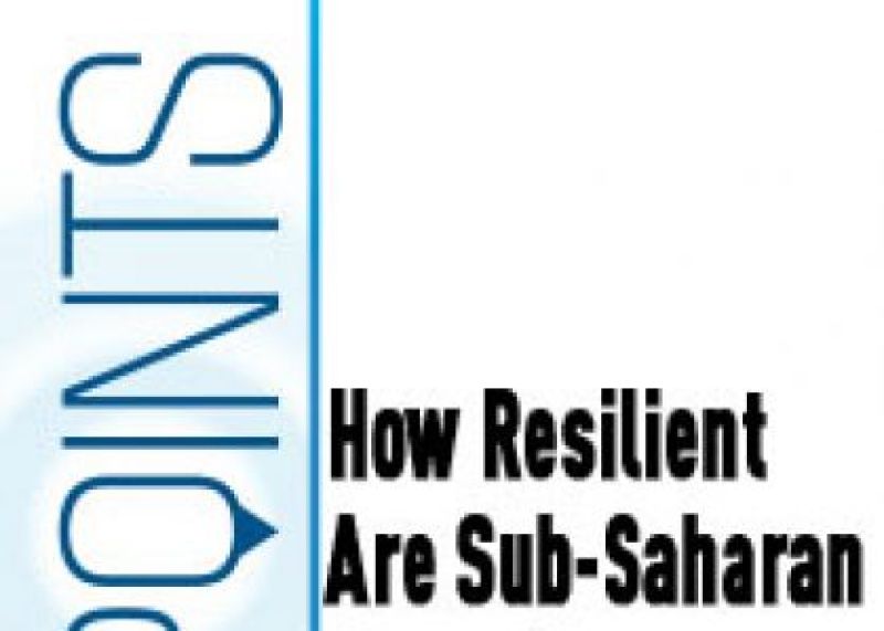 How Resilient Are Sub-Saharan Countries to External Shocks?
