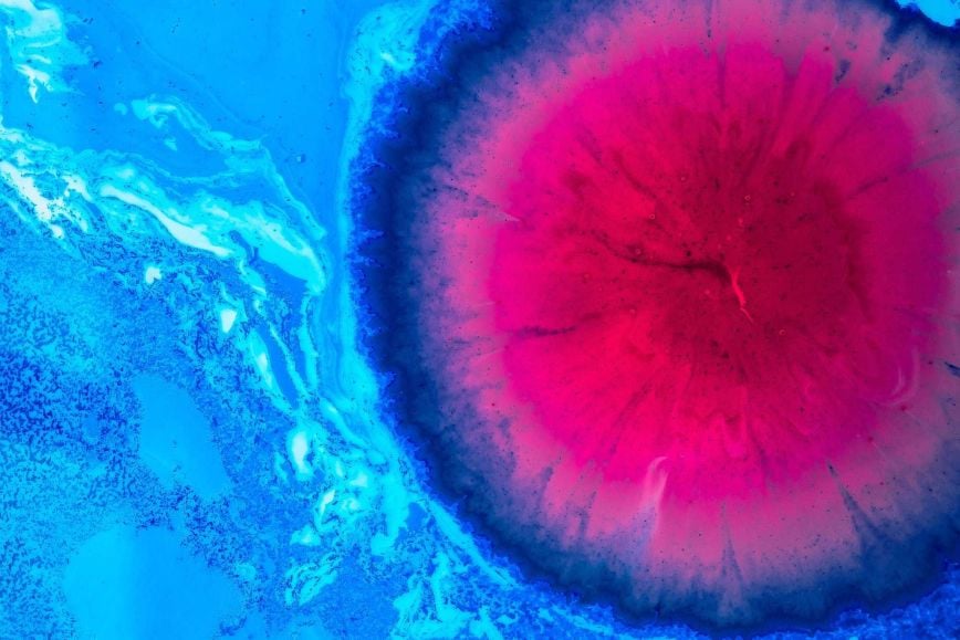 pink orb in blue
