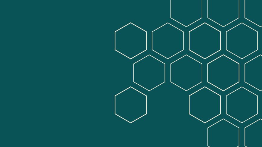 LeadersLink Landscape