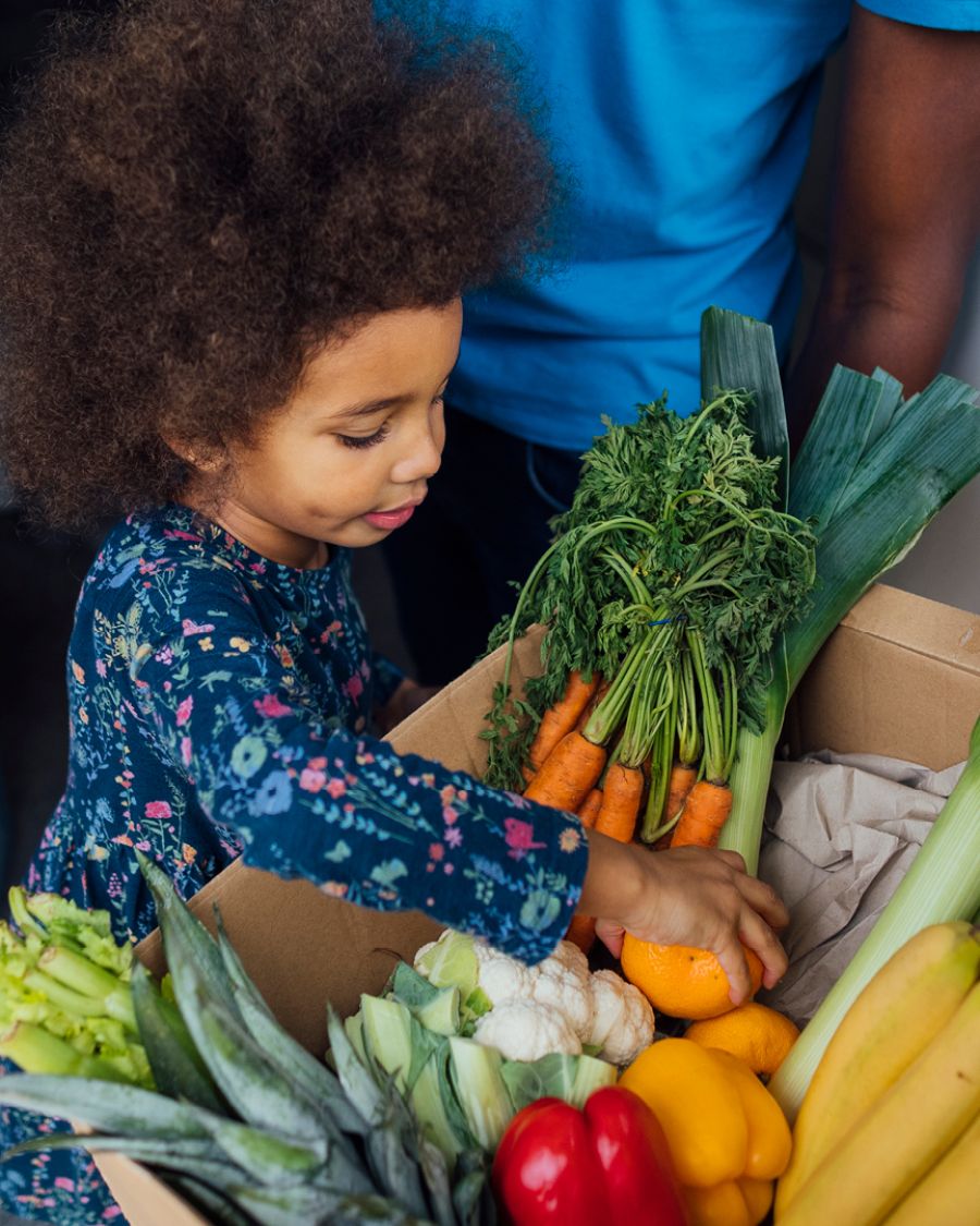 A young Black girl looks into a box full of fresh produce