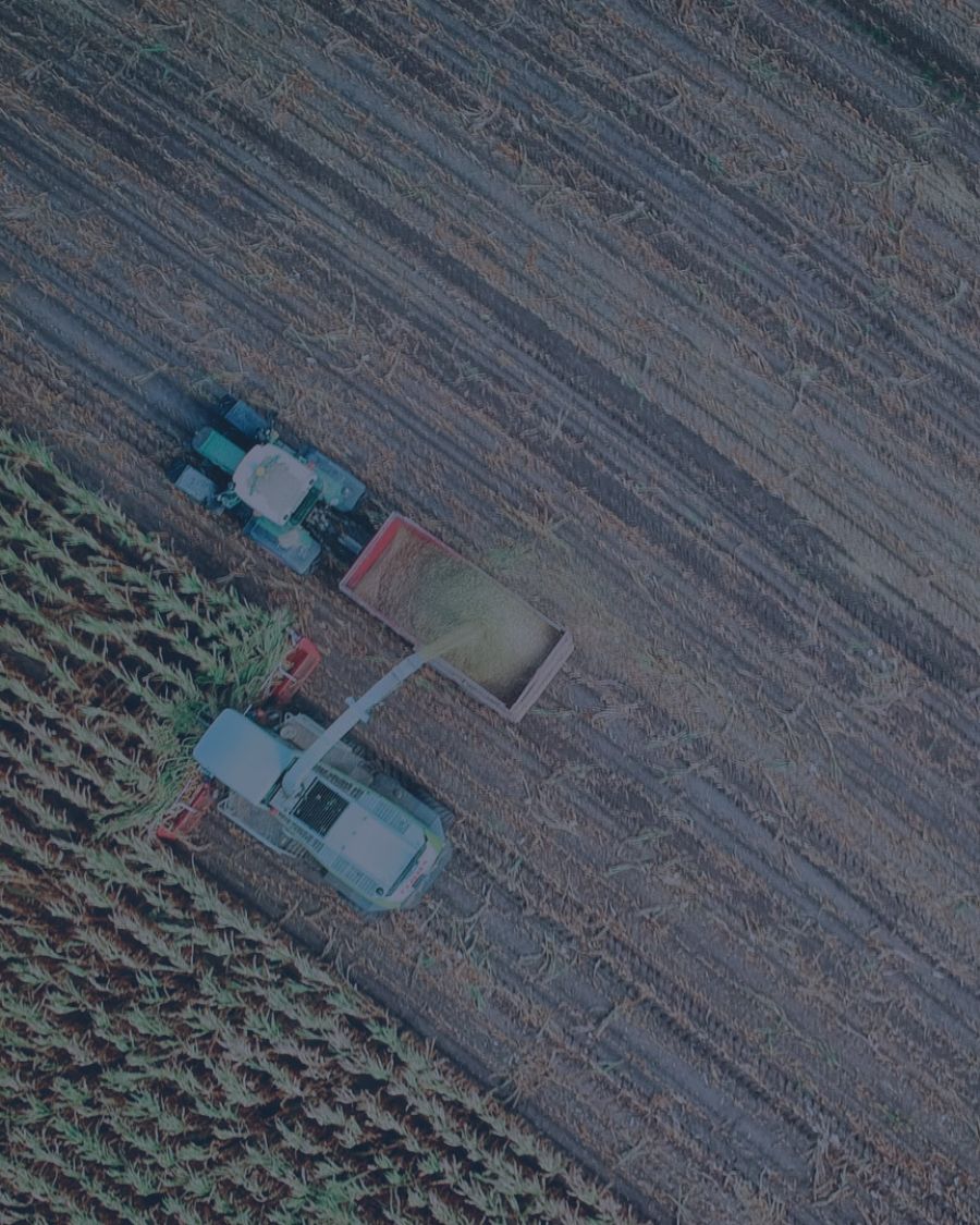 A tractor harvesting a field