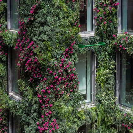The Atrium's living wall of flowering plants, inside the Milken Center