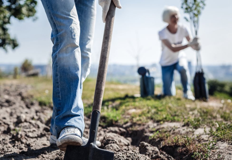 gardening