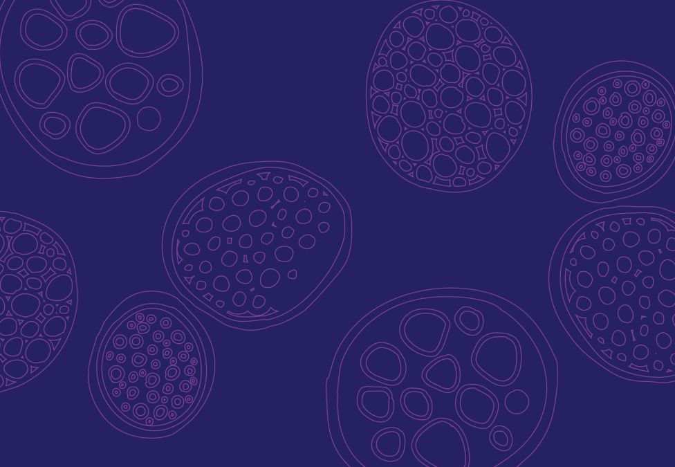 Purple graphic depicting microscopic cells