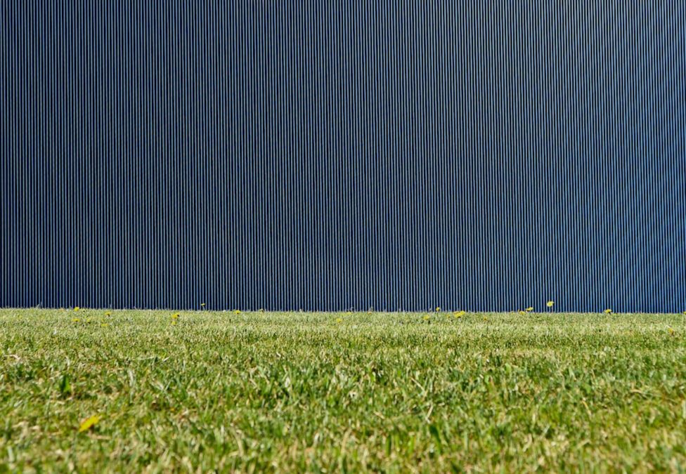 A green sports field