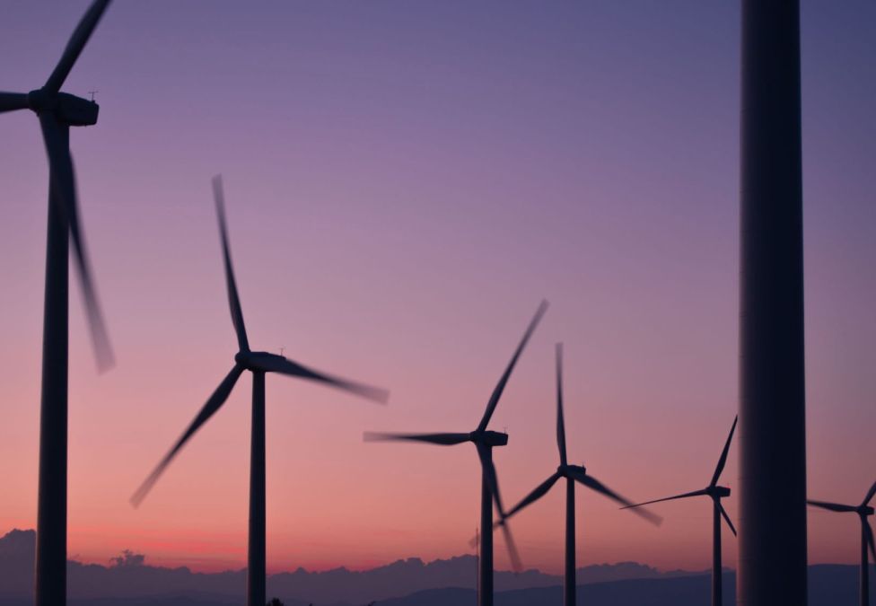 A windmill farm at sunset