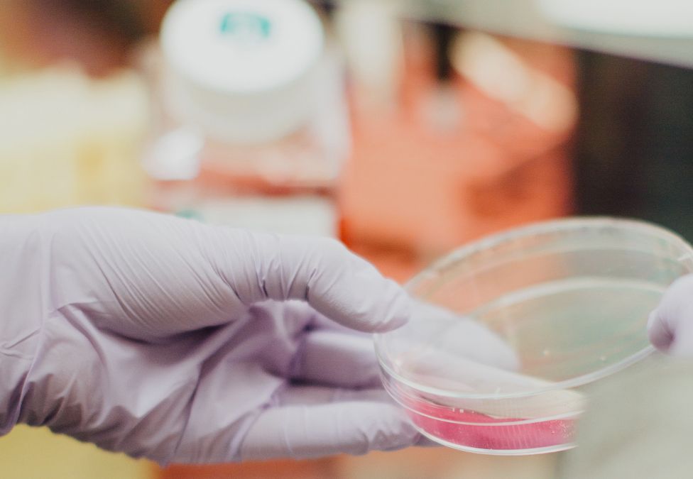 A scientist's gloved hand holds a Petri dish