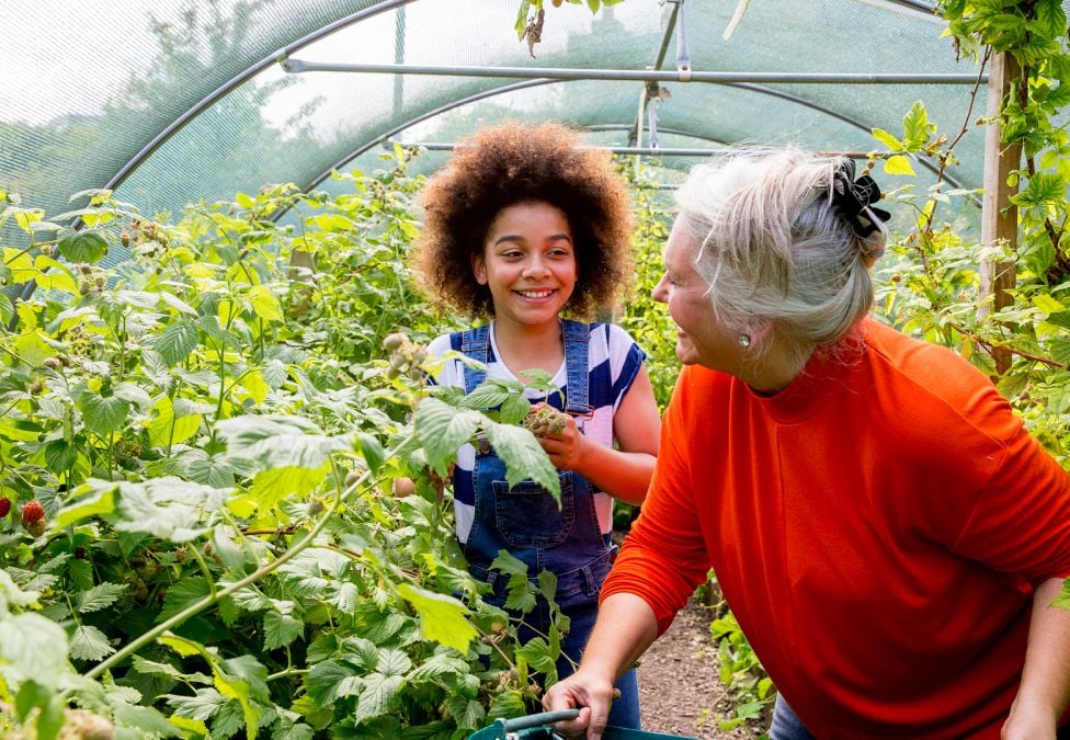 A young woman and older woman work in a greenhouse together