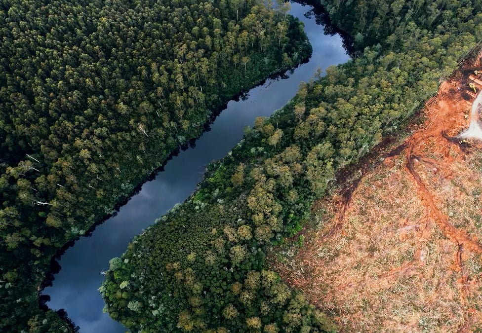 An ariel view of a river next to land and trees.
