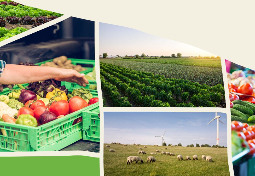 A collage of various farming and produce images leading to an article about Financing Food Systems from the Milken Institute.