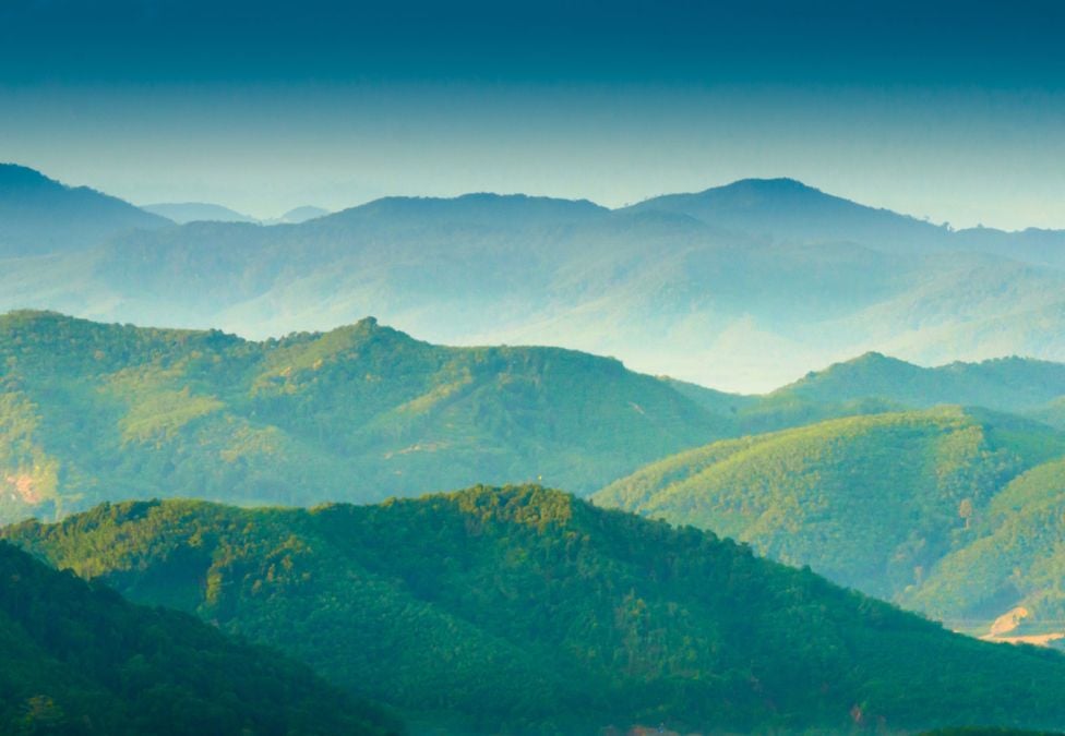 Rolling green mountains covered in trees with a soft blue sky and distant mist.