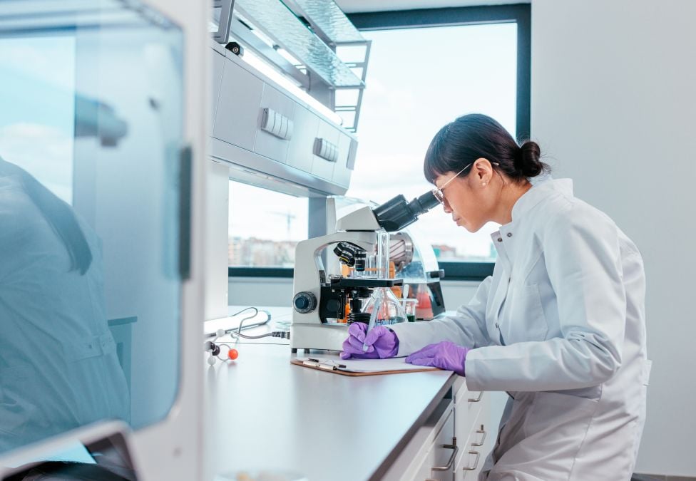 A scientist in the lab