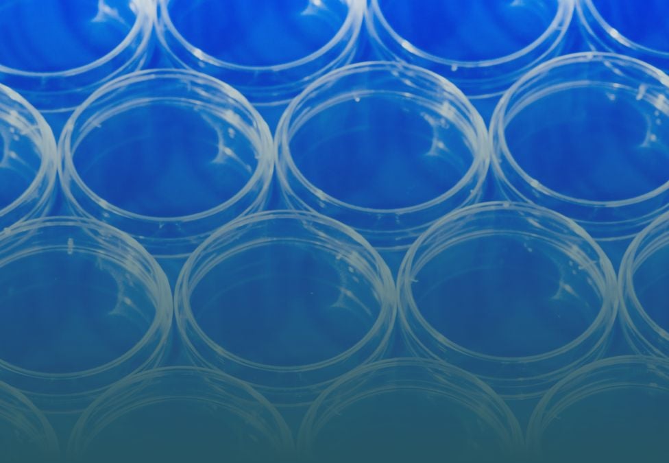 Transparent petri dishes arranged in neat rows on a blue background, representing laboratory research and clinical testing.