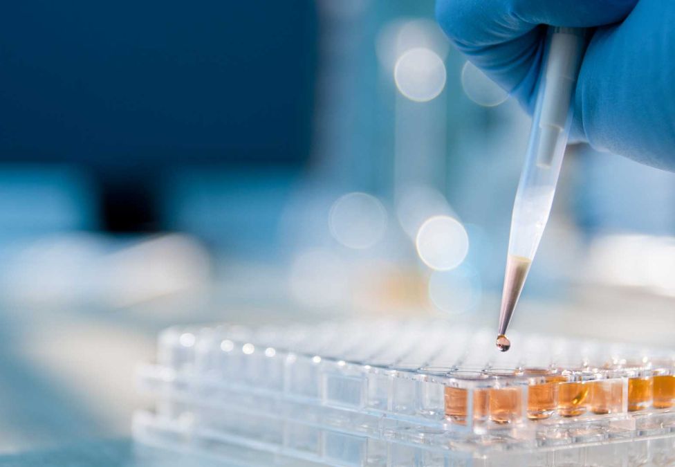 A gloved hand uses a pipette to dispense a liquid droplet into a clear 96-well microplate containing orange-colored samples in a laboratory setting..