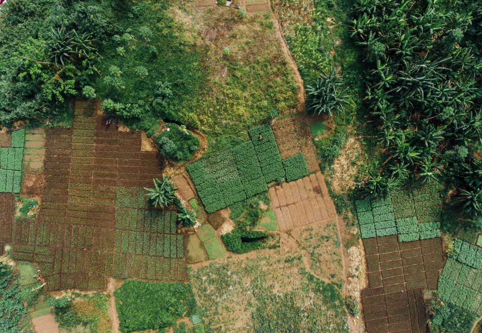An aerial, top-down view of a patchwork of small agricultural plots and lush green vegetation.