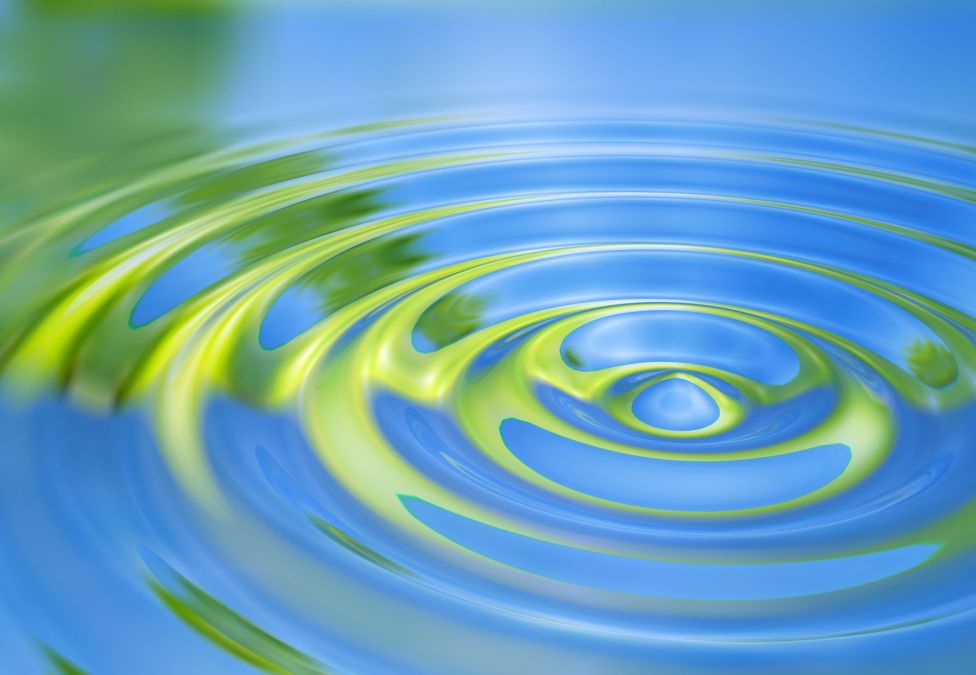 Close-up of concentric water ripples reflecting blue sky and green foliage.