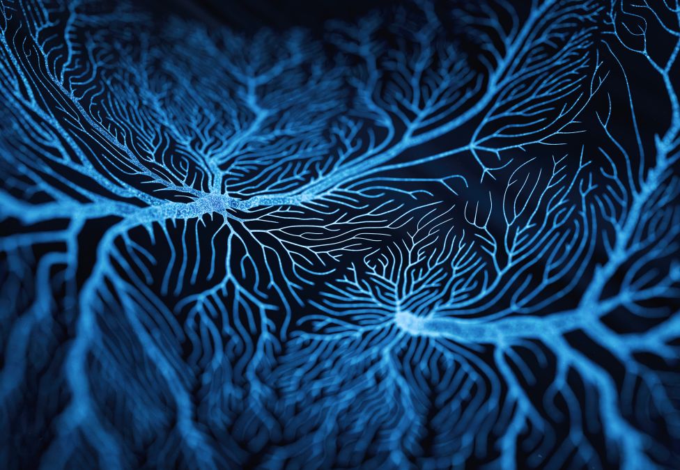 Blue glowing neural network connections branching across dark background
