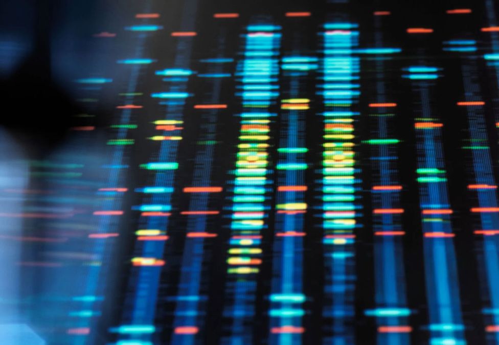 DNA sequencing data displayed as colorful horizontal bands on a digital screen